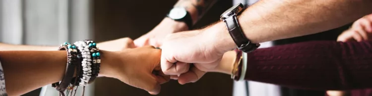 EuroDNS collaboration tools for next-level team productivity