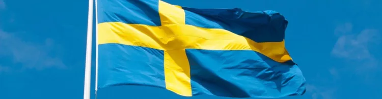.SE ccTLD for Sweden: updated terms and conditions (2019)