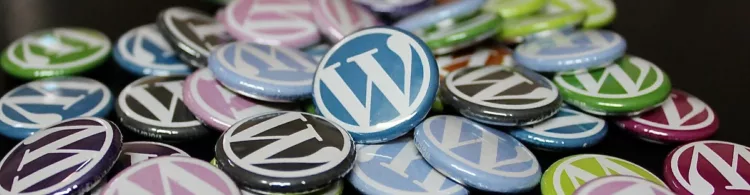 WordPress Hosting: managed solution optimises WordPress