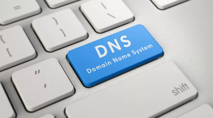 DNS Management Services