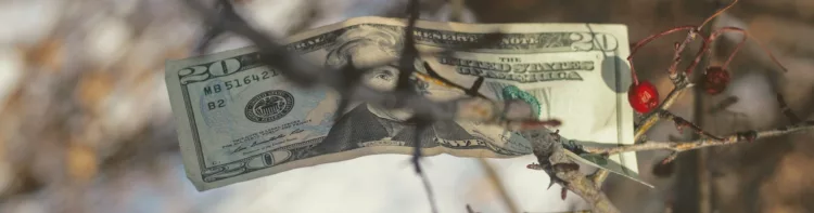 Domain extensions affected by price increase