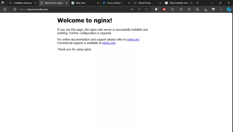 Welcome to nginx screenshot