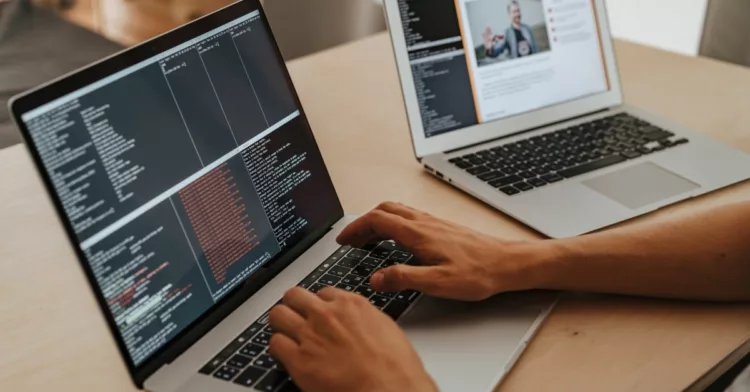 WordPress skills you need and how it impacts your career