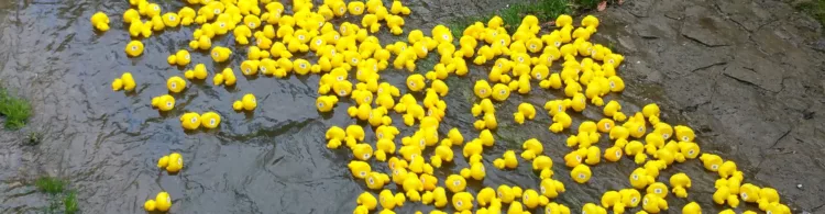 1000s of rubber ducks released into the wild in Luxembourg!