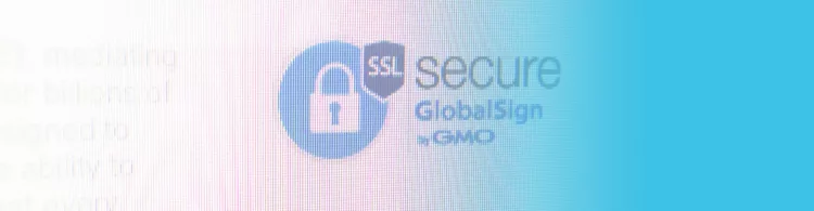 GlobalSign - provider of our SSL certificates - talks online security