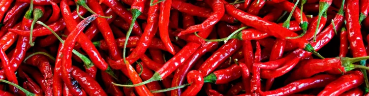 Kick-ass ways to spice up the new domain extensions!