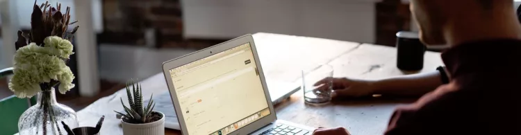 Good news for online brand protection! DPML Plus here to stay!
