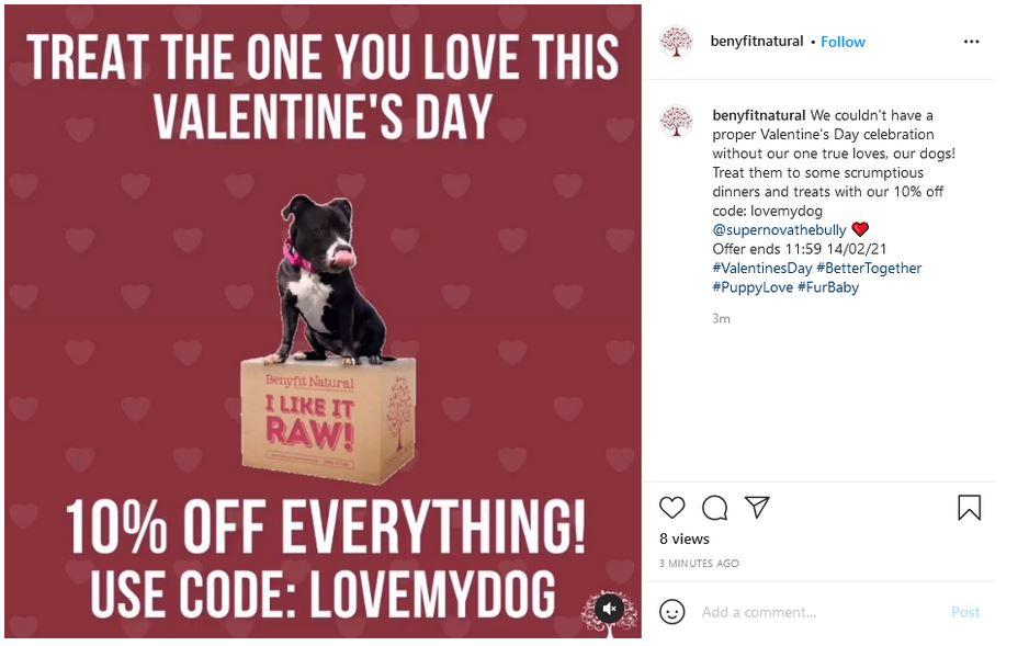 Pet Valentine's day