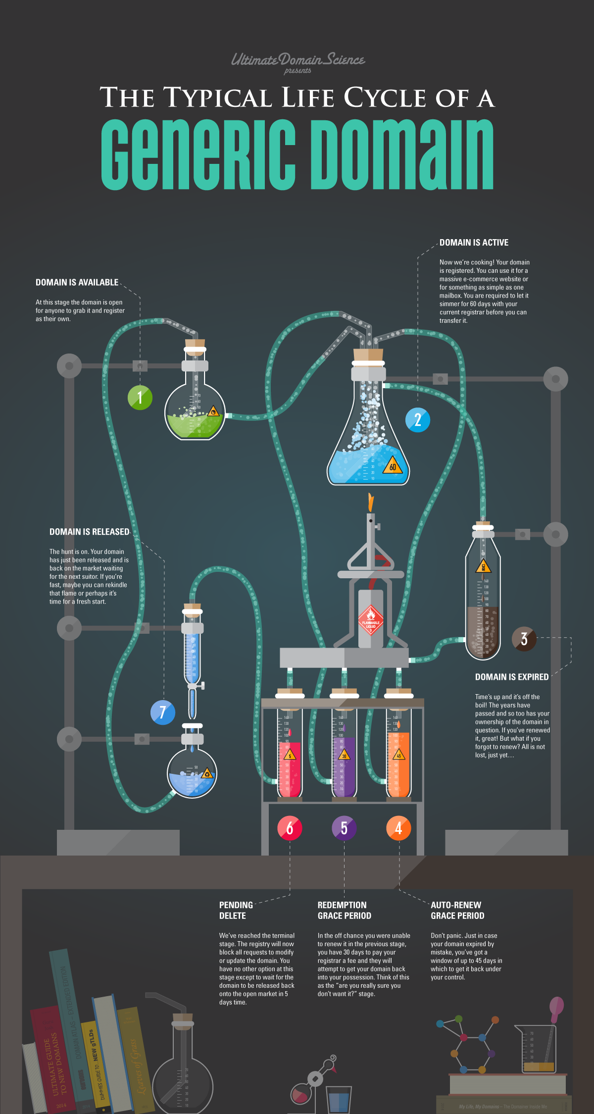 lifecycle-infographic.png#asset:8820