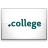 .COLLEGE domain name