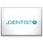 .DENTIST domain name