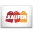.KAUFEN domain name