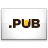 .PUB domain name