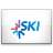.SKI domain name