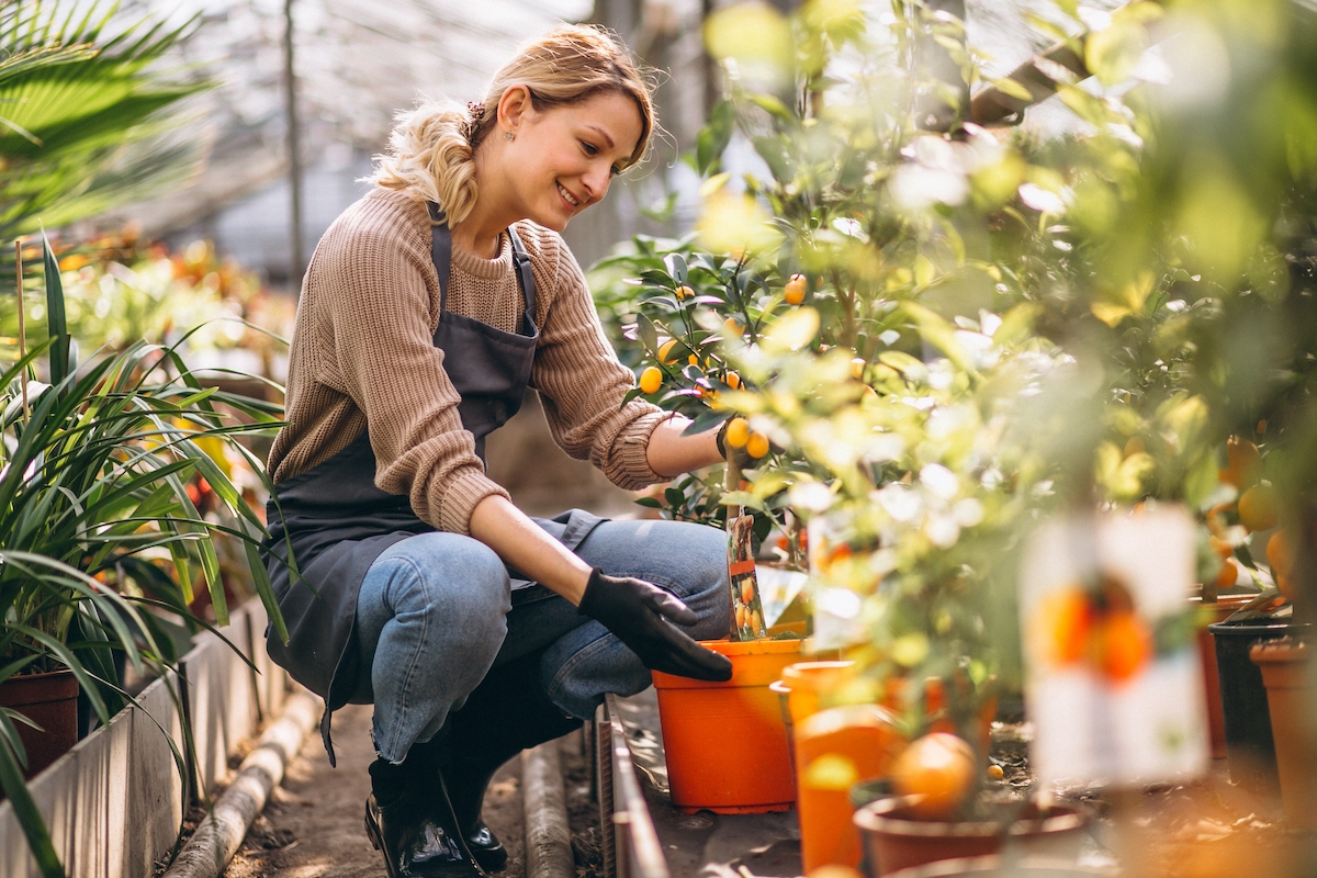 Woman Looking After Plants Greenhouse