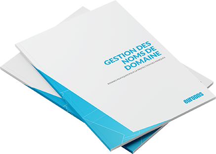 Obtenez votre Guide de Gestion des Noms de Domaine gratuit